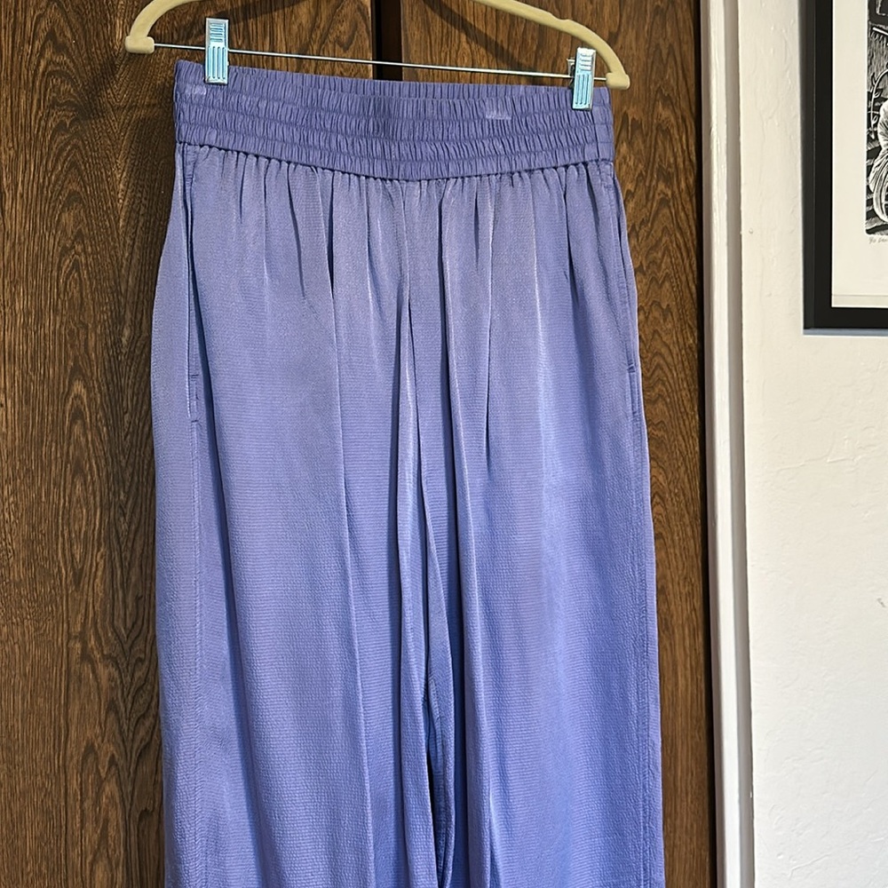Everlane pebbled silky pants - Picture 2 of 6